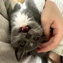 Thumbnail photo of Winter #3