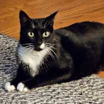 Thumbnail photo of Theo #1