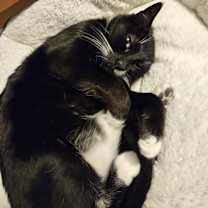 Thumbnail photo of Theo #3