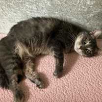 Thumbnail photo of Liddy #2