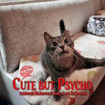 Thumbnail photo of Liddy #3