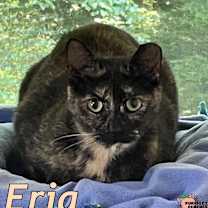Thumbnail photo of Eria #3