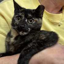 Thumbnail photo of Eria #4