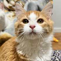 Thumbnail photo of Sam Wise #1