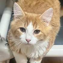 Thumbnail photo of Sam Wise #2