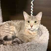 Thumbnail photo of Thora  #1