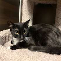 Thumbnail photo of Vivian #1