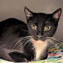 Thumbnail photo of Vivian #3