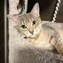 Thumbnail photo of Thora  #4