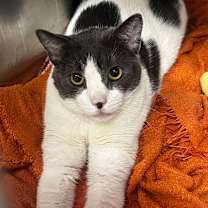 Thumbnail photo of Bubble Buddy #4