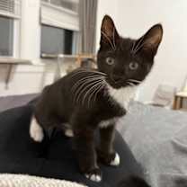 Thumbnail photo of Sprite #1