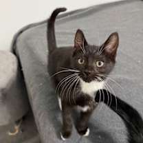 Thumbnail photo of Sprite #3