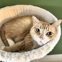 Thumbnail photo of Princess #1