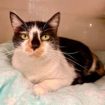 Thumbnail photo of Brittany #1