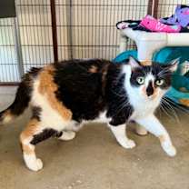 Thumbnail photo of Brittany #2