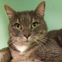 Thumbnail photo of Bradley #1