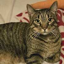 Thumbnail photo of PICKLES & HAZE - Bonded Duo! #4