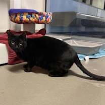 Thumbnail photo of Avril #2