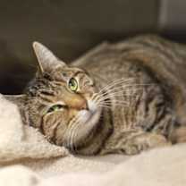 Thumbnail photo of Harper #2