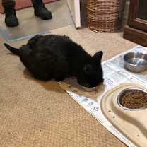 Thumbnail photo of Sophie #2