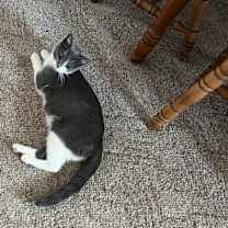 Thumbnail photo of Jasmine #3