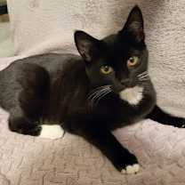 Thumbnail photo of Annie #2