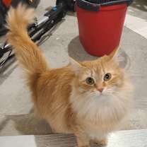 Thumbnail photo of Lilly #3