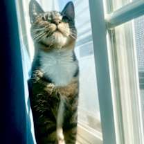 Thumbnail photo of Edie #2