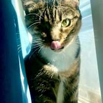 Thumbnail photo of Edie #3