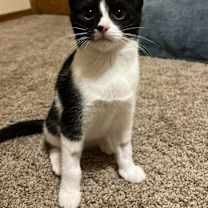 Thumbnail photo of Maybelline #1