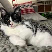 Thumbnail photo of Maybelline #3