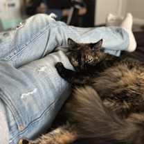 Thumbnail photo of Penelope #3