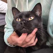 Thumbnail photo of Nova #3