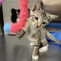 Thumbnail photo of Dale #2