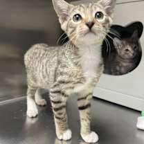 Thumbnail photo of Dale #3