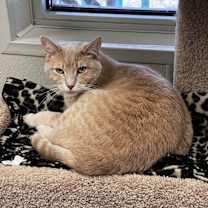 Thumbnail photo of Riley #1