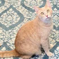 Thumbnail photo of Riley #2