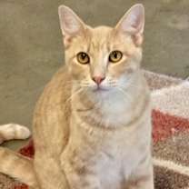 Thumbnail photo of Riley #3