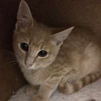 Thumbnail photo of Riley #4