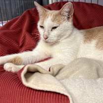 Thumbnail photo of Esmeralda #1