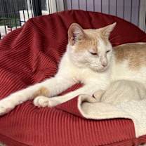 Thumbnail photo of Esmeralda #2