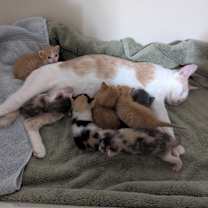 Thumbnail photo of Esmeralda #4