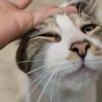 Thumbnail photo of Oliver #2