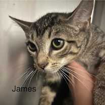 Thumbnail photo of James #4