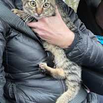 Thumbnail photo of Caleb #2