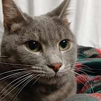 Thumbnail photo of Juliette #1