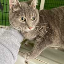 Thumbnail photo of Juliette #3