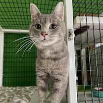 Thumbnail photo of Juliette #4