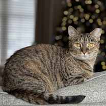 Thumbnail photo of Agnes #1