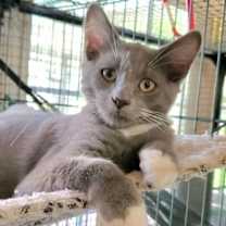 Thumbnail photo of Coopers Beach #1